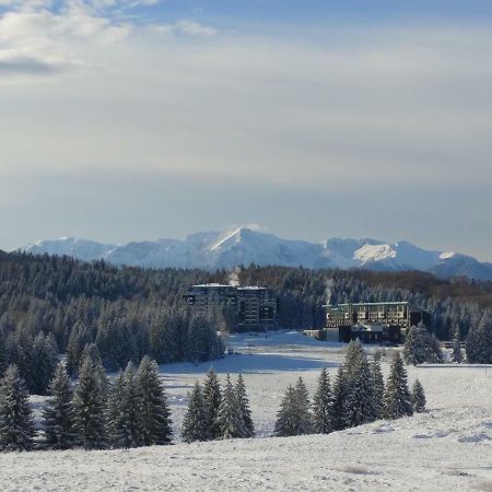 Dor Apartment Poiana Brasov Exteriör bild