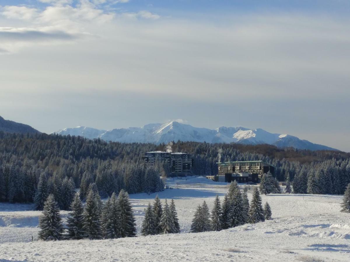 Dor Apartment Poiana Brasov Exteriör bild